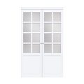 Renin Renin 48 in. x 80 1/2 in. Provincial 8-Lite Design Pivot Door PV3340PWFGE048080